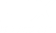RLX Solutions